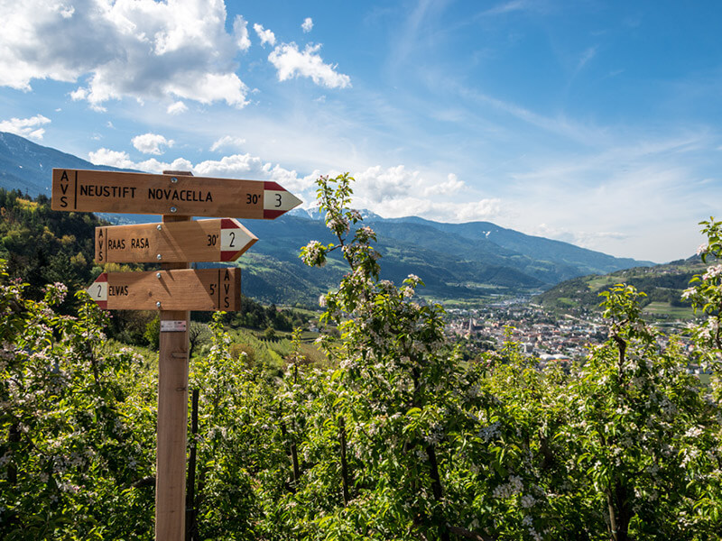 Wegpfeiler Neustift-Raas-Elvas-Brixen im Frühling - Hotel Sun