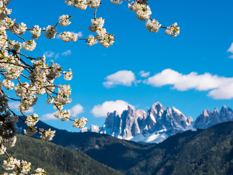 Frühlingsemotionen in Brixen - Hotel Sun