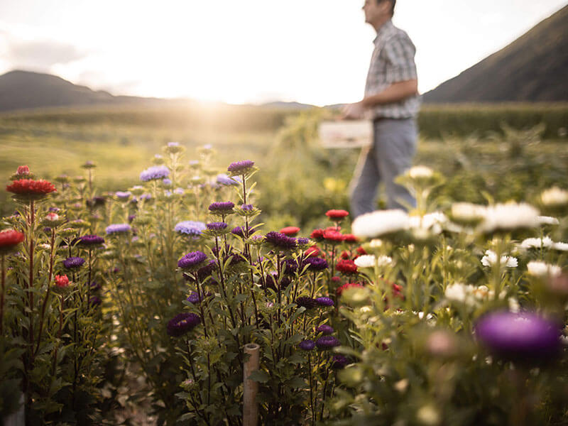 May getaway in the mountains 