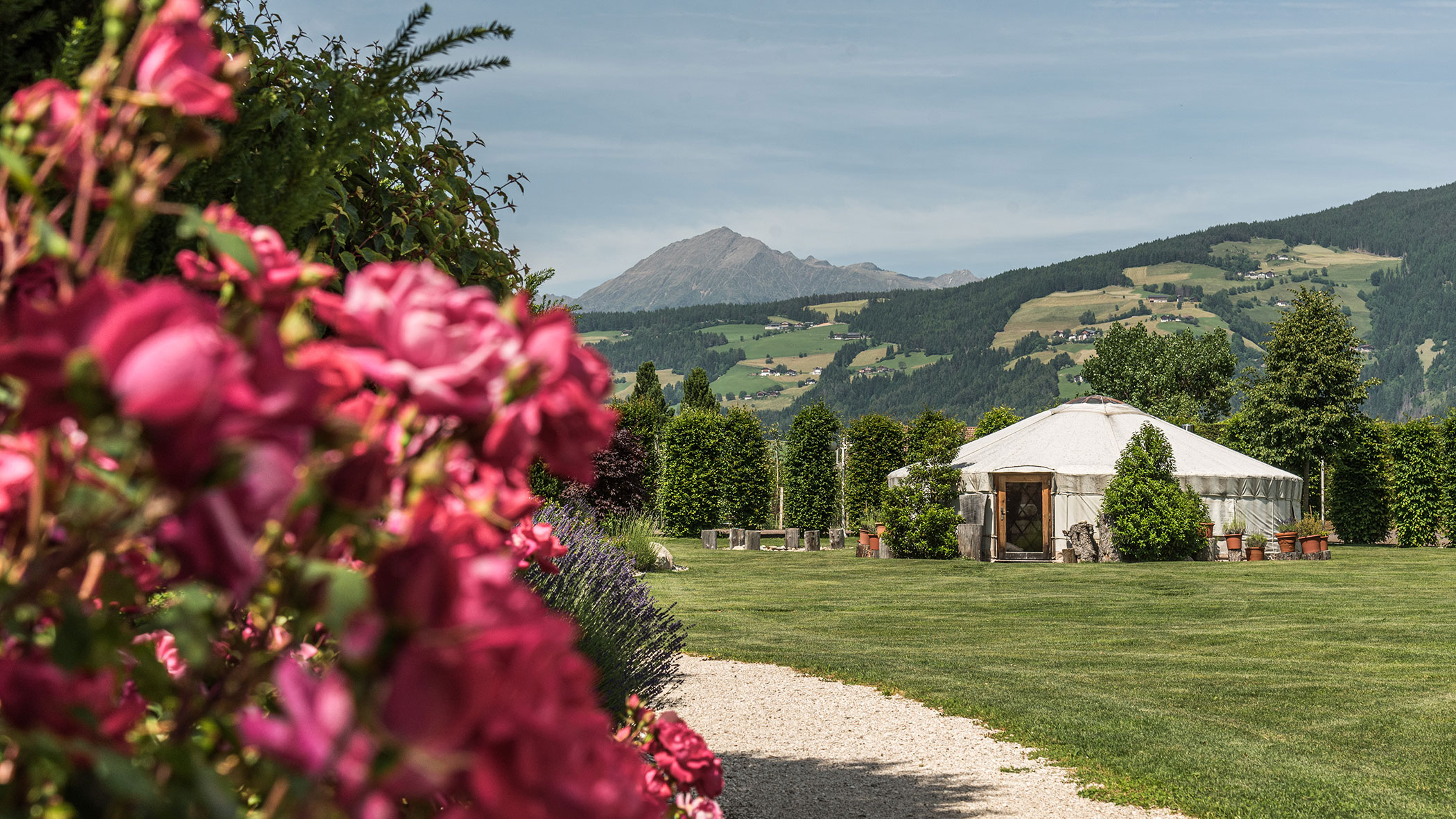 Vista esterna - Hotel con giardino in estate - Hotel Sun