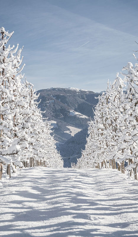 Winter in Natz-Schabs - Ein besonderes Erlebnis