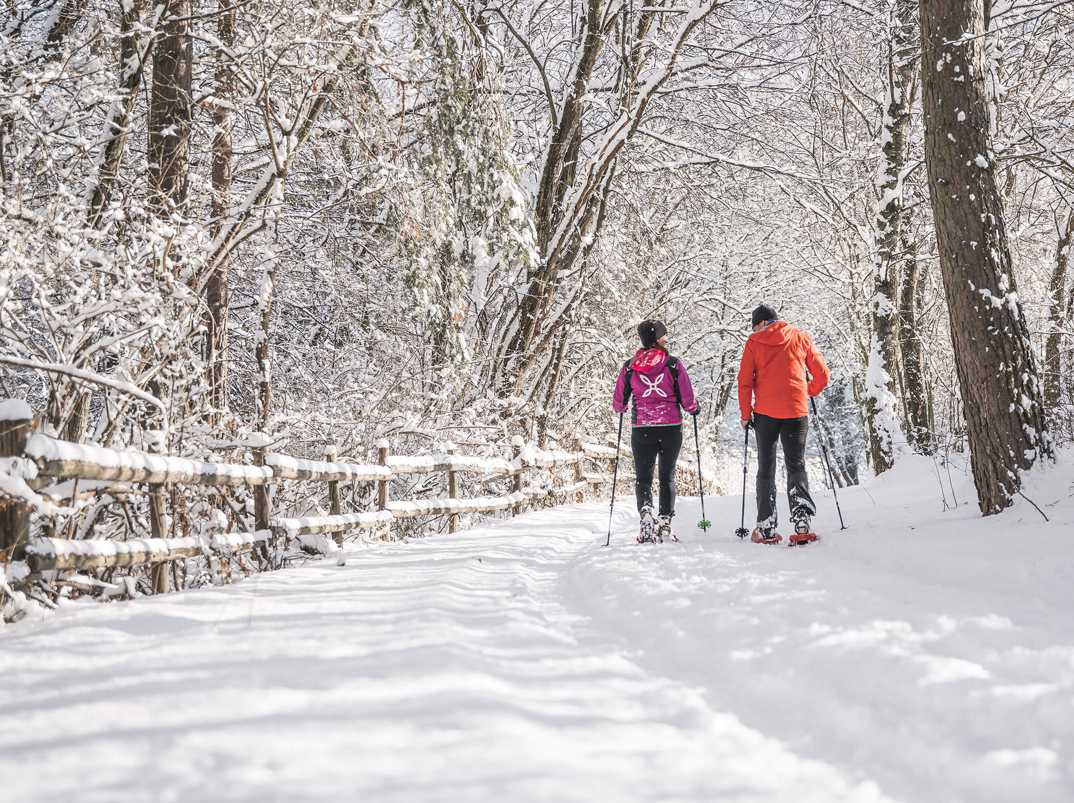 Zwei Personen gehen mit Schneeschuhen auf einem verschneiten Waldweg, der von Bäumen und einem Holzzaun gesäumt ist. - Hotel Sun